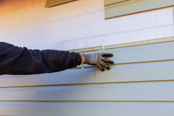 Best Vinyl Siding Installation  in Bright, IN